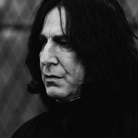 Servus Snape (@halfblcodprince) 's Twitter Profile