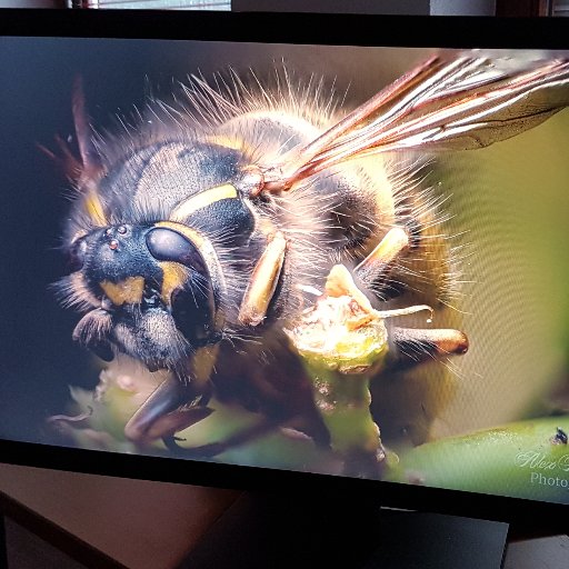 KRallye555's profile picture. 