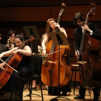Dan School of Drama and Music (@thedanschool) 's Twitter Profile