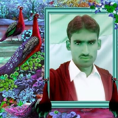 SabirAl91802945's profile picture. Sabir Ali