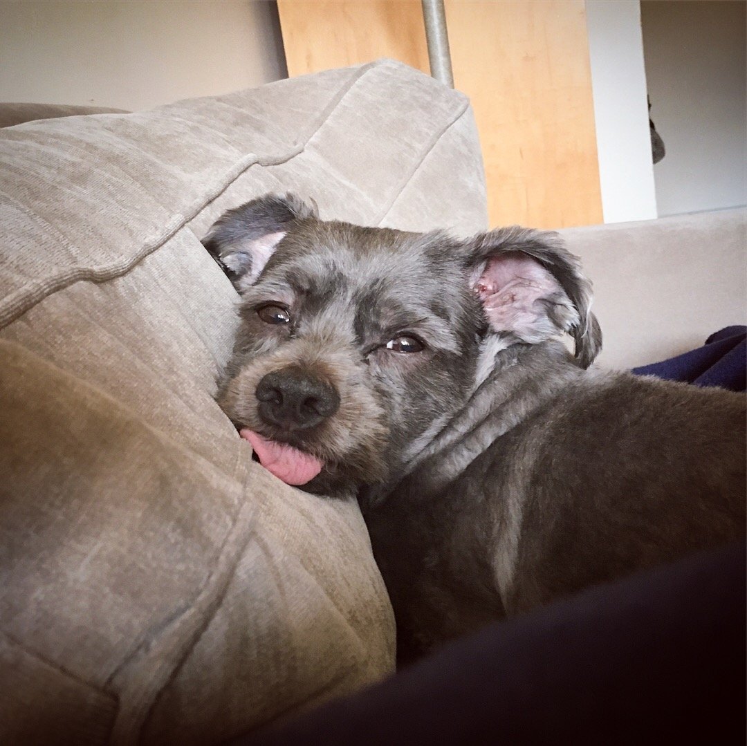 xyzoey's profile picture. 