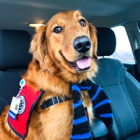 Gus Gus (@gus_ftw) 's Twitter Profile