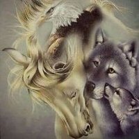 ❤ Mother Nature ❤ (@sheiluchi24) 's Twitter Profile Photo