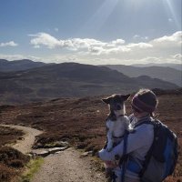 Alison Eadie (@alisoneadie_) 's Twitter Profile