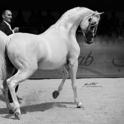 لسّت وحيده هُناك رجل بداخلي💗.  ١٩٩٨م.