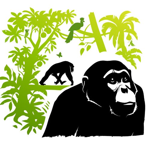 Studying and protecting chimpanzees in Kanyawara, Kibale National Park, Uganda since 1987. Tweets by Martin Muller.