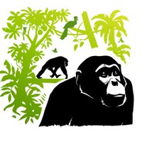 Kibale Chimpanzee Project (@kibalechimps) 's Twitter Profile Photo Kibale Chimpanzee Project (@kibalechimps) 's Twitter Profile Photo