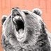 Jerry L. Bair (@jerrylbair3) Twitter profile photo Jerry L. Bair (@jerrylbair3) Twitter profile photo