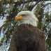 Kim Burkhardt (@waparksvisitor) Twitter profile photo Kim Burkhardt (@waparksvisitor) Twitter profile photo