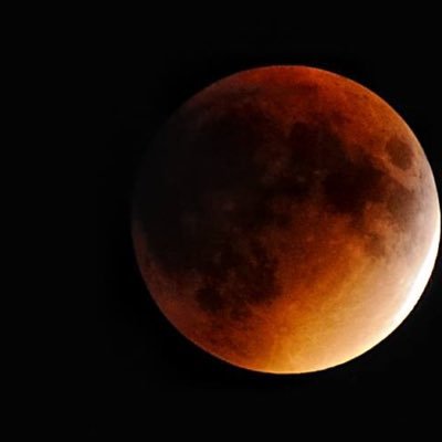 fupan26's profile picture. 