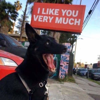 scott14ex's profile picture. Good day