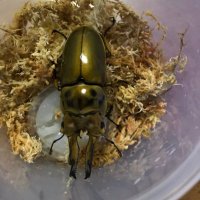 WAK(ワック) (@wak09929821) Twitter profile photo