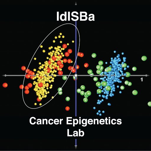 Cancer Epigenetics Laboratory at the Cancer Cell Biology group (@CancerCellBio), Institut d'Investigació Sanitària Illes Balears (@idisbaib) - IdISBa