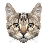 Cristina P (@pericetcristina) 's Twitter Profile