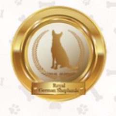 German shepherds, German shepherds in USA, best German shepherds USA - (757) 405-7221.
royalgermanshepherdsk@gmail.com