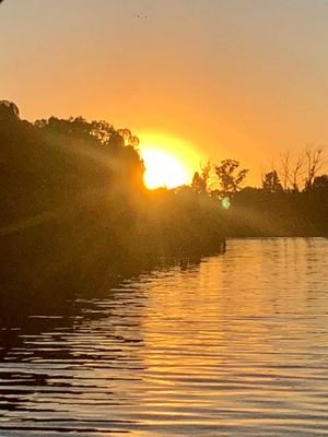 Get updated information about the activities ERWAT in rehabilitating the Vaal River System