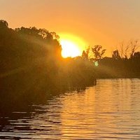 Vaal River Intervention Project (@vaalarmy) 's Twitter Profile Photo Vaal River Intervention Project (@vaalarmy) 's Twitter Profile Photo