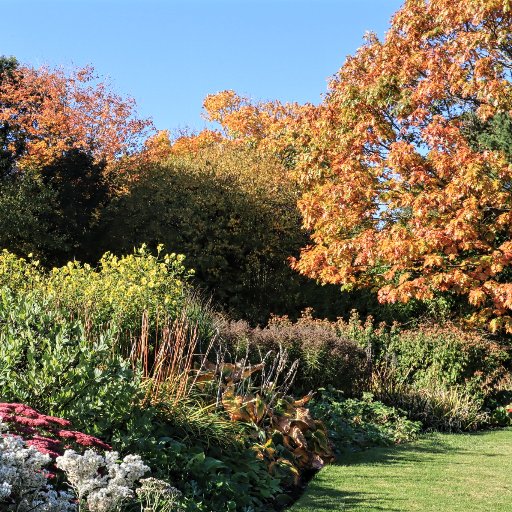 Discover 18 acres of rare and unusual plants, and find out what’s growing wild near you as part of our #doorstepbotany project