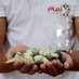 Zimam Palestine (@zimamps) Twitter profile photo Zimam Palestine (@zimamps) Twitter profile photo