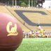 Jim McGill (@bearinsider_com) Twitter profile photo