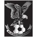 ⚽Blackburn Eagles FC🦅 (@blackburneagles) Twitter profile photo ⚽Blackburn Eagles FC🦅 (@blackburneagles) Twitter profile photo