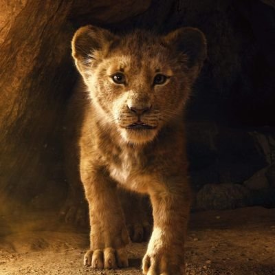 KaranGajjar1463's profile picture. 