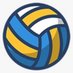 Web Vôlei (@sitewebvolei) Twitter profile photo