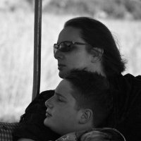 Julie Taylor (@tayjule) 's Twitter Profile