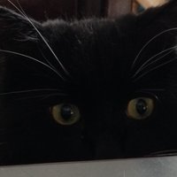 *Kelly* (@starseedk69) 's Twitter Profile