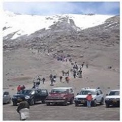 ManizalesPortal's profile picture. Web turismo Cafetero