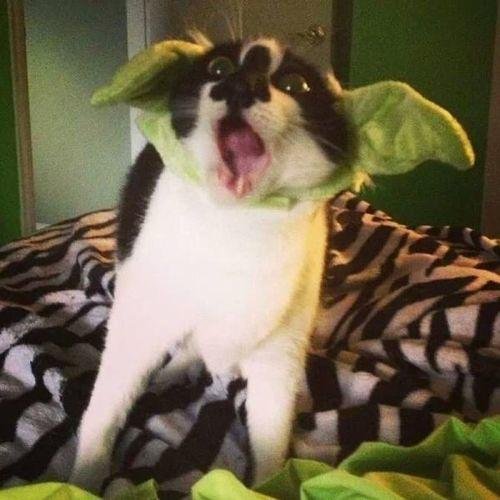 Lucas1870Lucas's profile picture. 