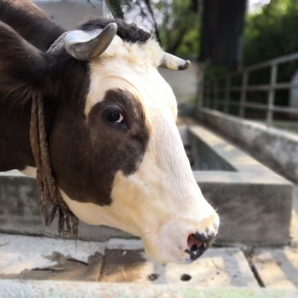 henbertrd's profile picture. 