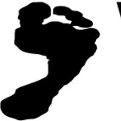 WingfootFinish's profile picture. Lace up your shoes and head out the door.