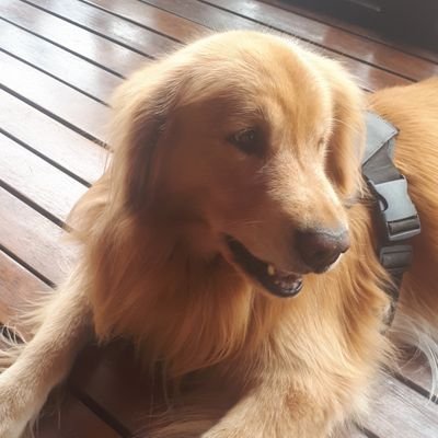 Ex-diretor da Anistia Internacional, membro do Conselho de Proteção a Testemunha do Paraná