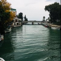 BlueWorld (@siirpiksel) 's Twitter Profile