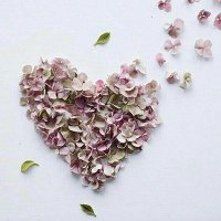 mjno0ontk_ (@weanal8ak) 's Twitter Profile Photo