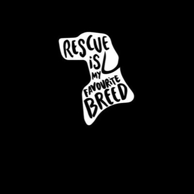 BcnMfm's profile picture. ❤️💙🐕🐕🦋