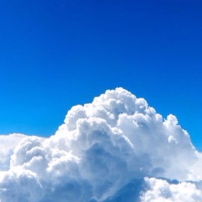 MaxRubini's profile picture. 