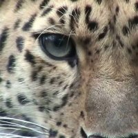 UoE Art Collection (@uoeartcoll) 's Twitter Profile