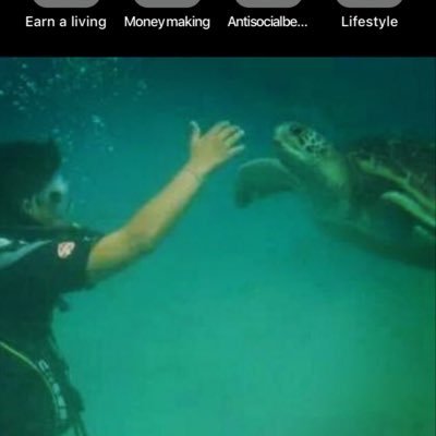 louisec47002377's profile picture. 