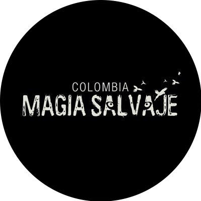 Magia Salvaje