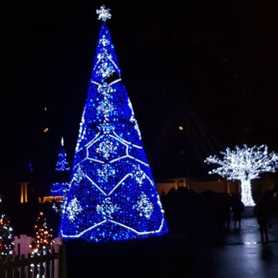 bob_overy's profile picture. 