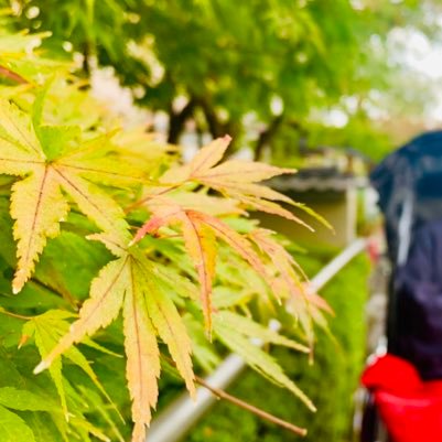 jf_igig7h's profile picture. 