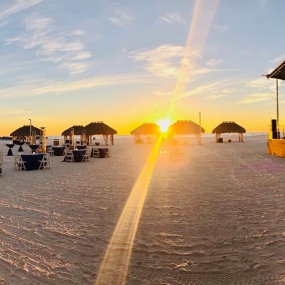 dominiqueeh1's profile picture. Event coordinator | Wizard Connection | Creating the ultimate event experience for you! 🌟 Marco island Florida 🌞