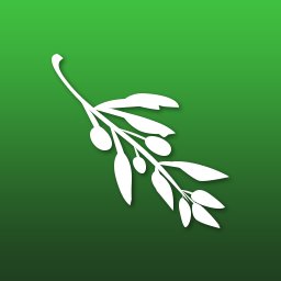 Official Twitter account for the Olive Video Editor https://t.co/cTbjIxWlnA

Please consider supporting at https://t.co/WEvEoEu70K…