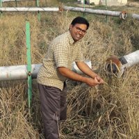 EcohydrologyLab (@ecohydrologylab) 's Twitter Profile Photo