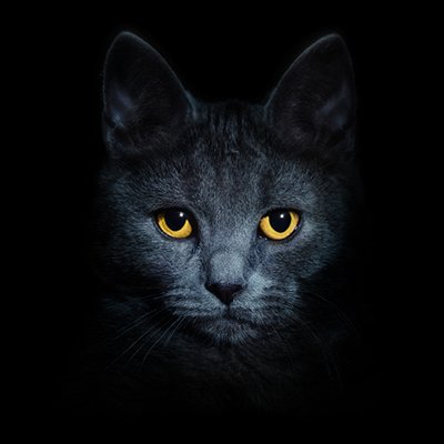 embercat Profile
