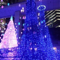 だいや (@82e57_a) 's Twitter Profile Photo だいや (@82e57_a) 's Twitter Profile Photo