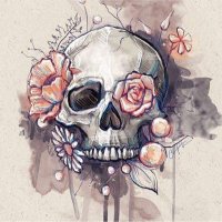 Bustapuss (@bustapuss) Twitter profile photo