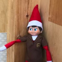 UPS Elves(@UPS_Elves) 's Twitter Profile Photo